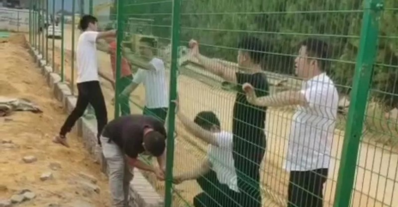  -jinnianhui | jinnian