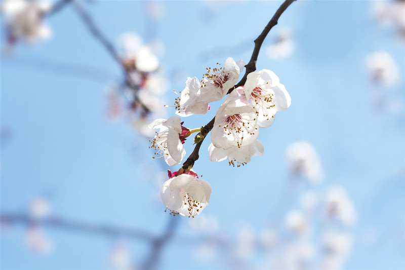 ½ñÄê»á -jinnianhui | jinnian